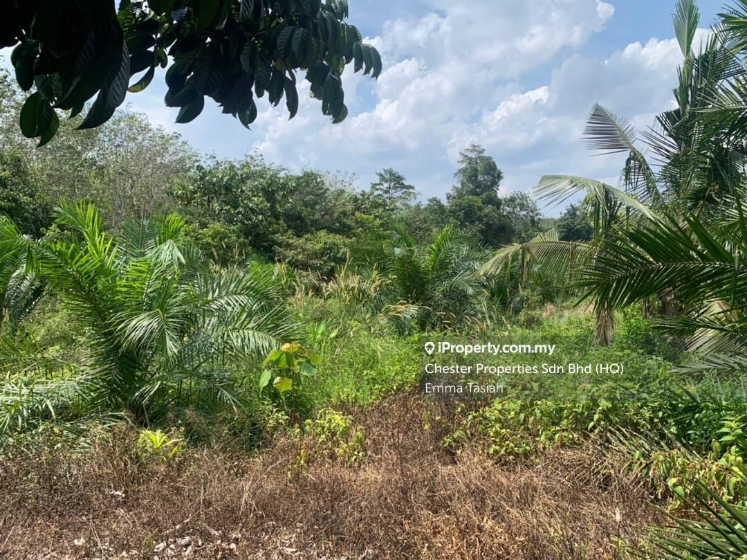 Bentong