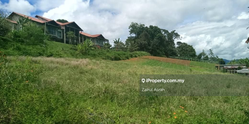 Tanah Rata Pertanian Kampung Chemperoh Jalan Belia Bentong Agricultural Land Untuk Dijual Iproperty Com My