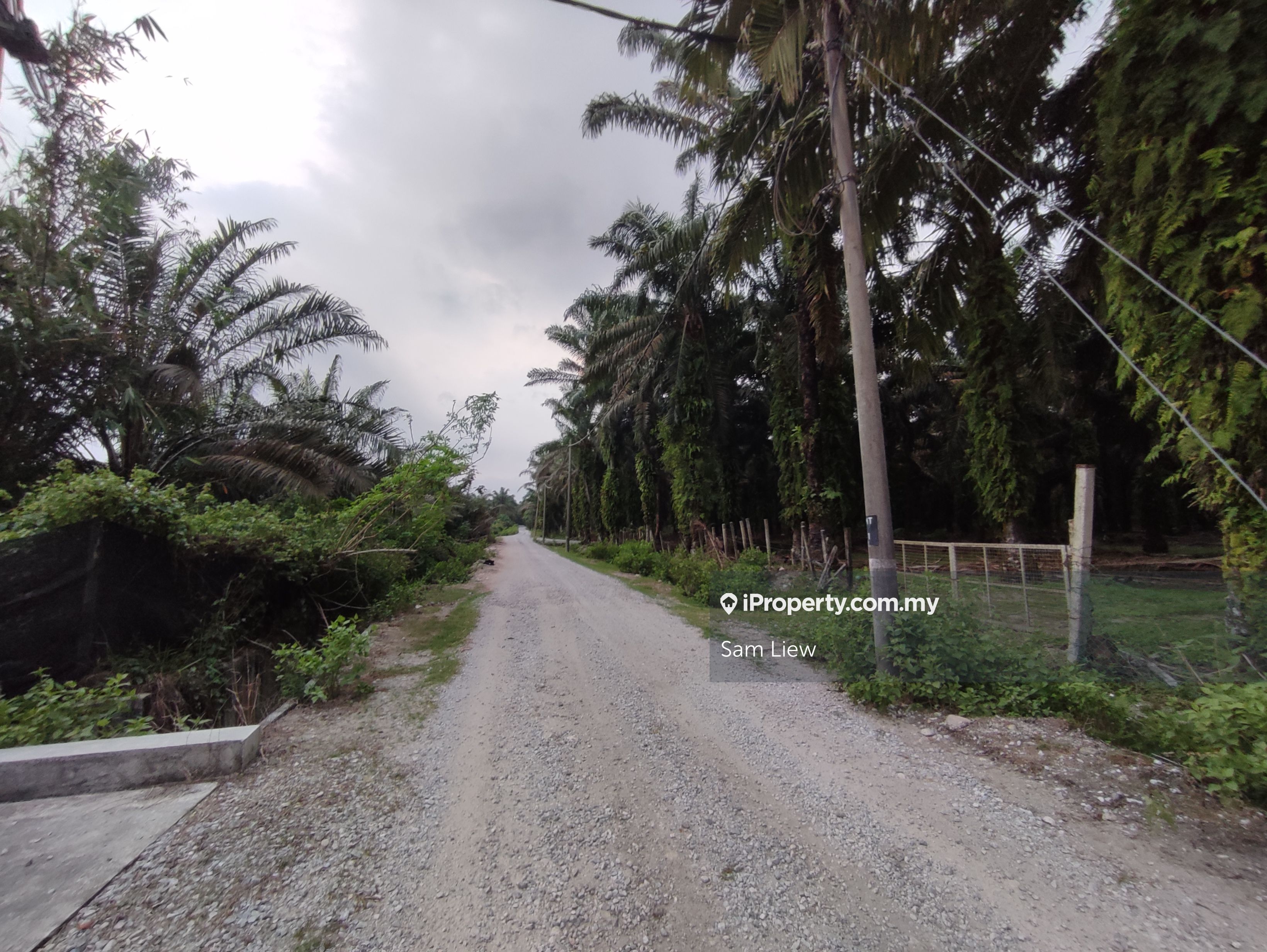 Jalan Teluk Intan-Bidor, Perak , Sungkai Agricultural Land for sale | iProperty.com.my