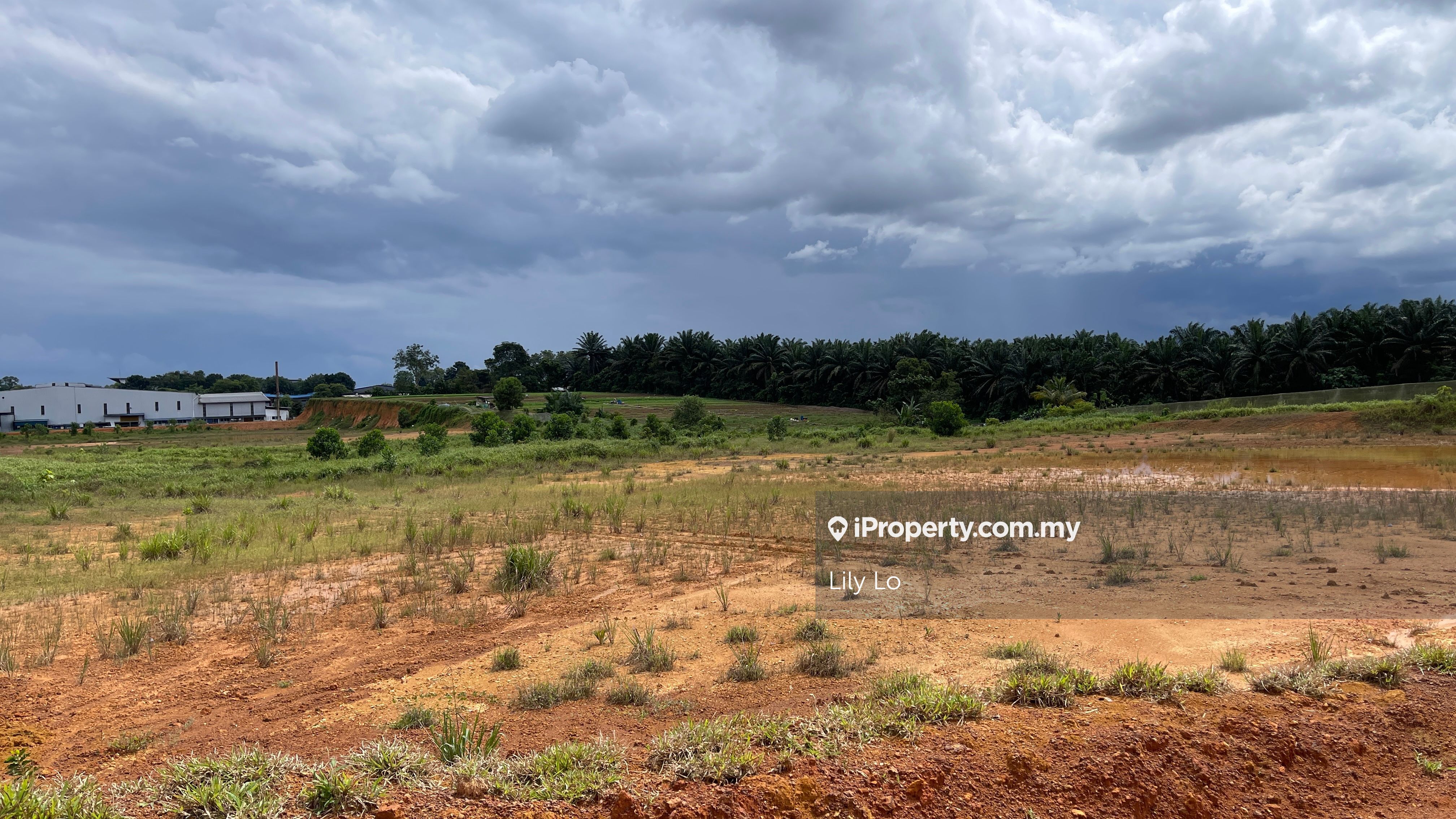 Senai agriculture land zoning industrial for sale , Senai Industrial Park, Senai Agricultural