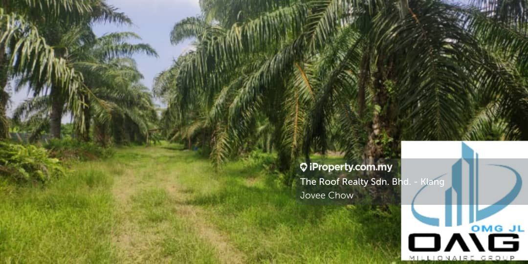Sungai Besar Selangor Sungai Besar Agriculture Land Sungai Besar Agricultural Land For Sale Iproperty Com My
