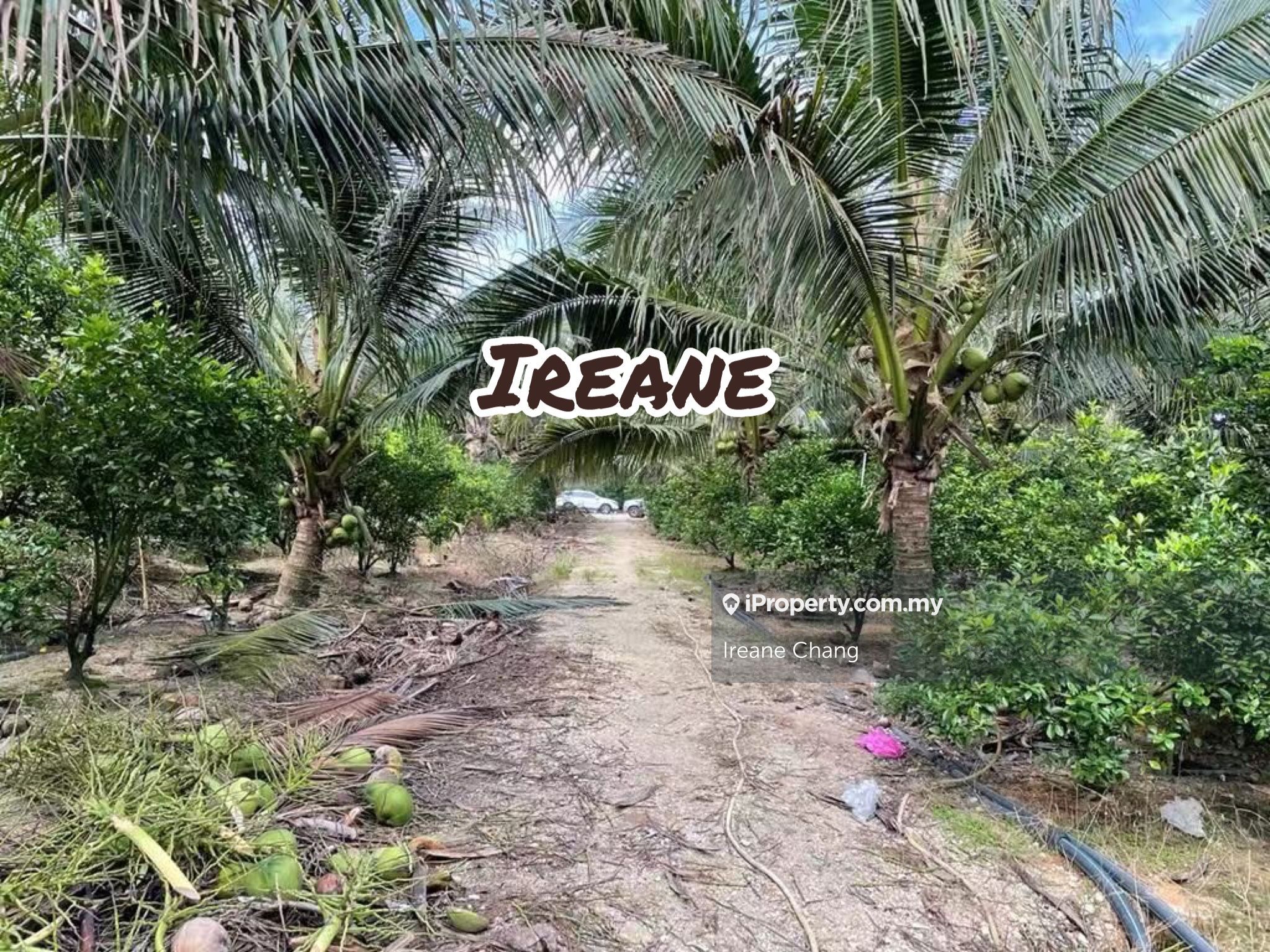 6.83 Arces Agricultural Land Karangan Kulim, Karangan Agricultural Land