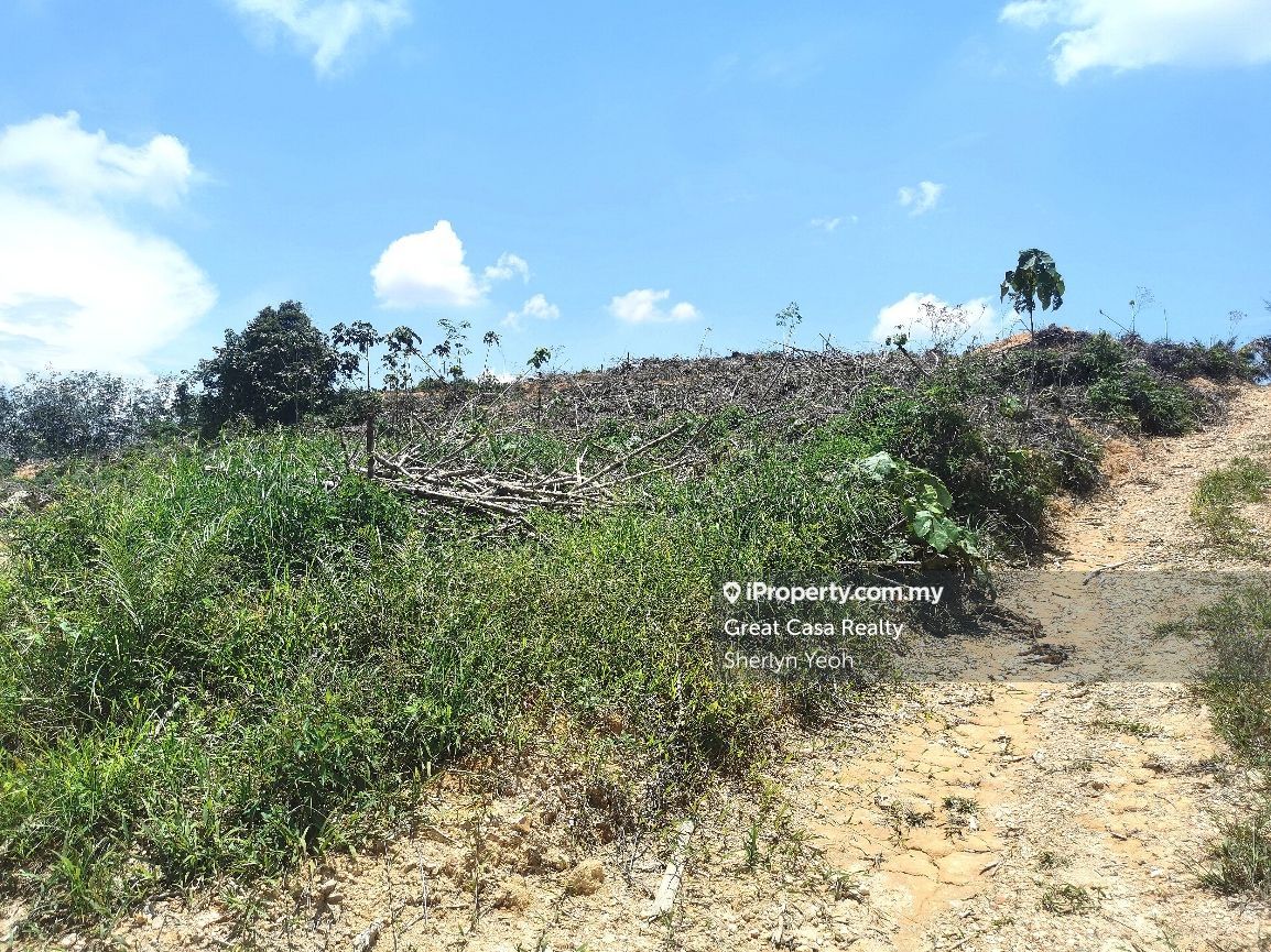Slim River Agricultural Land, Mukim SIim, Slim River for sale RM450000 iProperty Malaysia