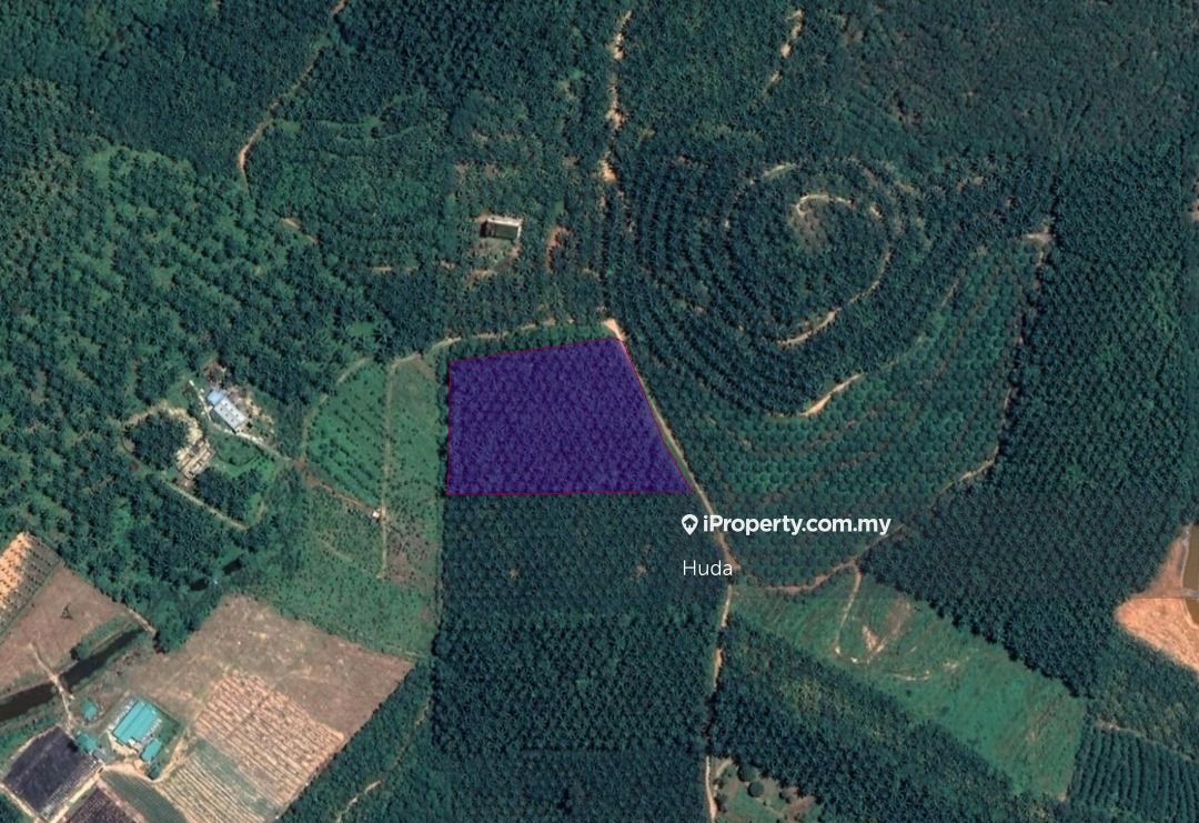 4 ac Agricultural land for sale in Slim Village, Slim Village, Slim River for sale RM800000