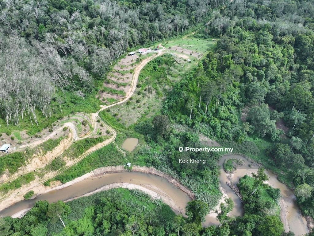 10ac musang king orchard land for sales, Lenggong for sale RM1500000