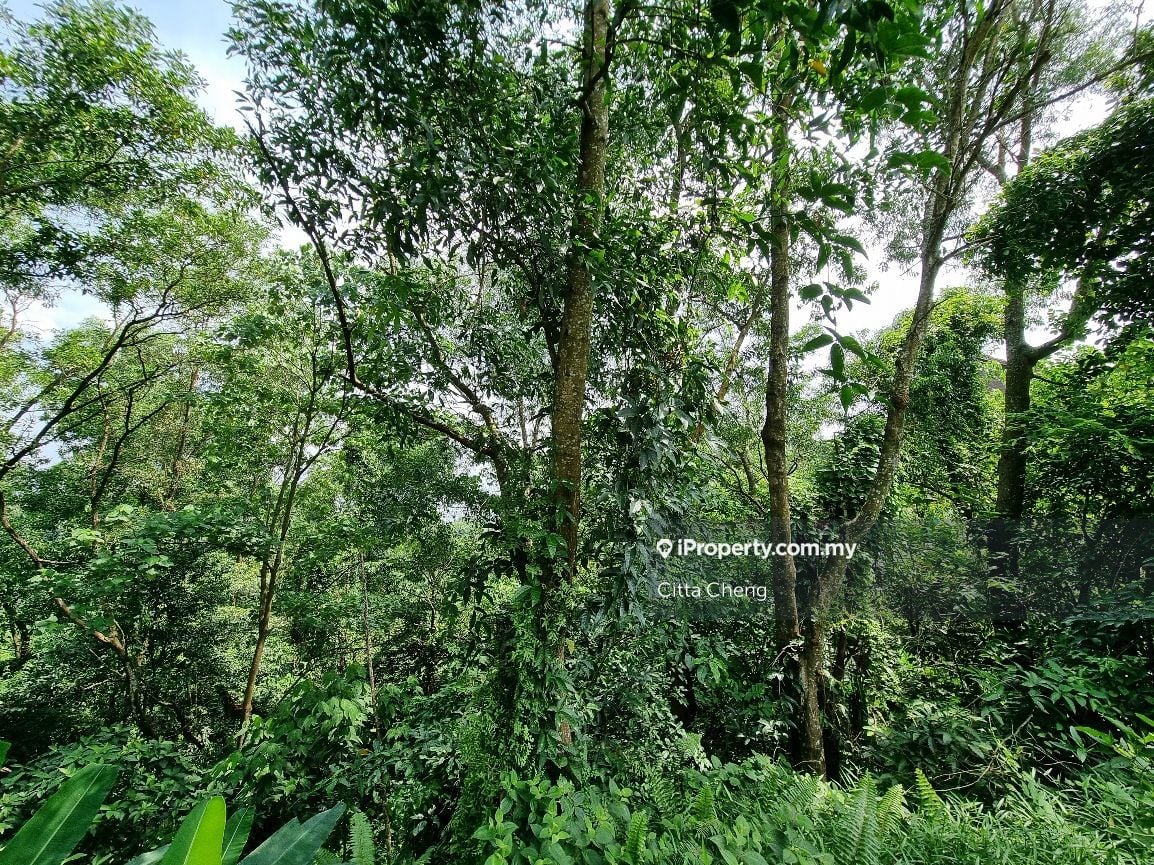 Damansara Heights for sale RM13300000 iProperty Malaysia