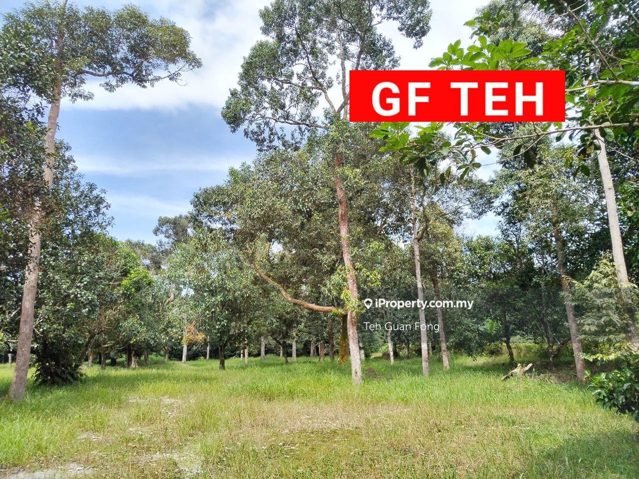 1.73 acres Agricultural land Cempedak & Durian (With River