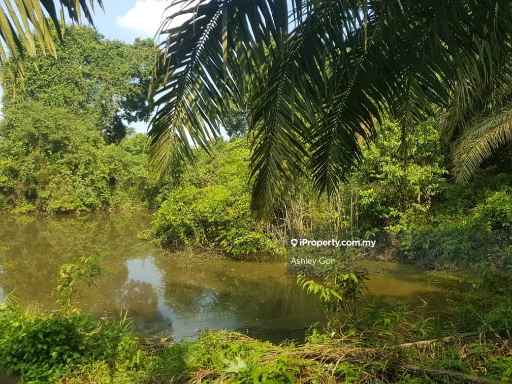 15 Acres Pontian Hard Soil Behind River Tar Road Kayu Ara Pasong Agricultural Land For Sale In Pontian Johor Iproperty Com My