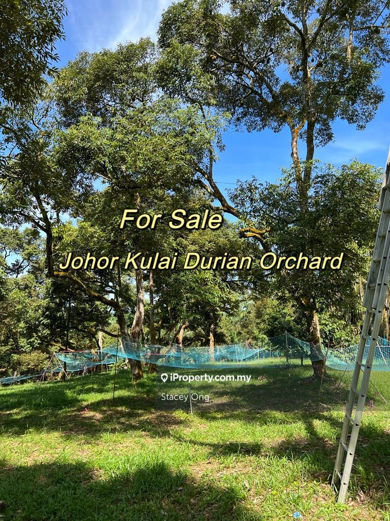 Johor Kulai Durian Orchard for sale, Johor Kulai Durian Orchard for sale, Kulai Agricultural