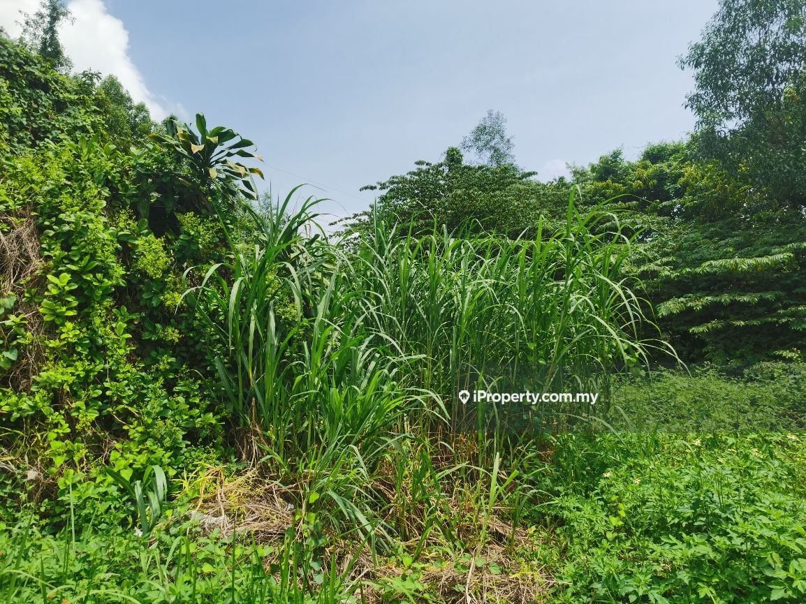 Taming Jaya Seri Kembangan Balakong, Taman Perindustrian Selesa Jaya Balakong, Balakong