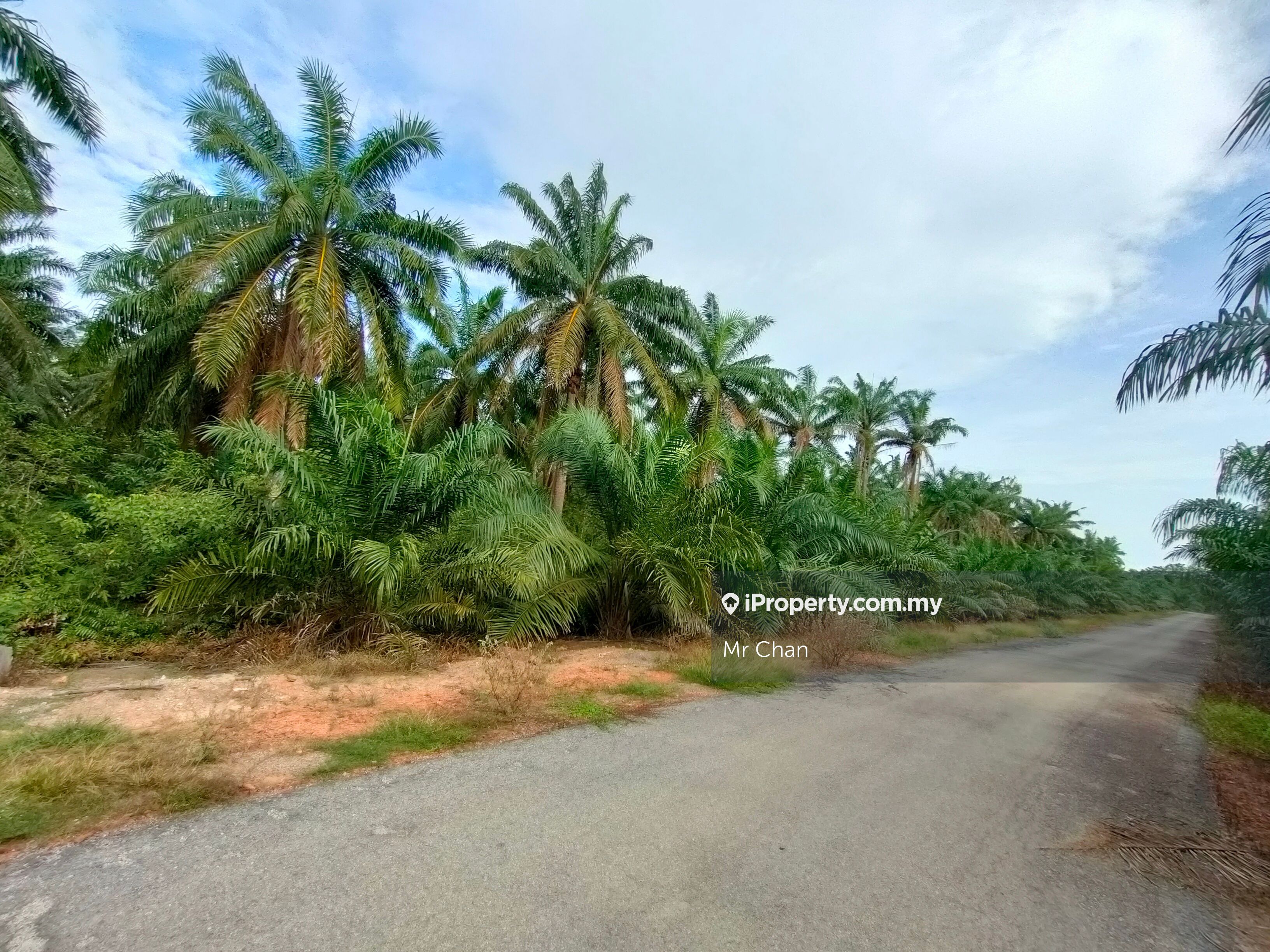 Sepang Sg Pelek, Sungai Pelek for sale - RM920000 | iProperty Malaysia