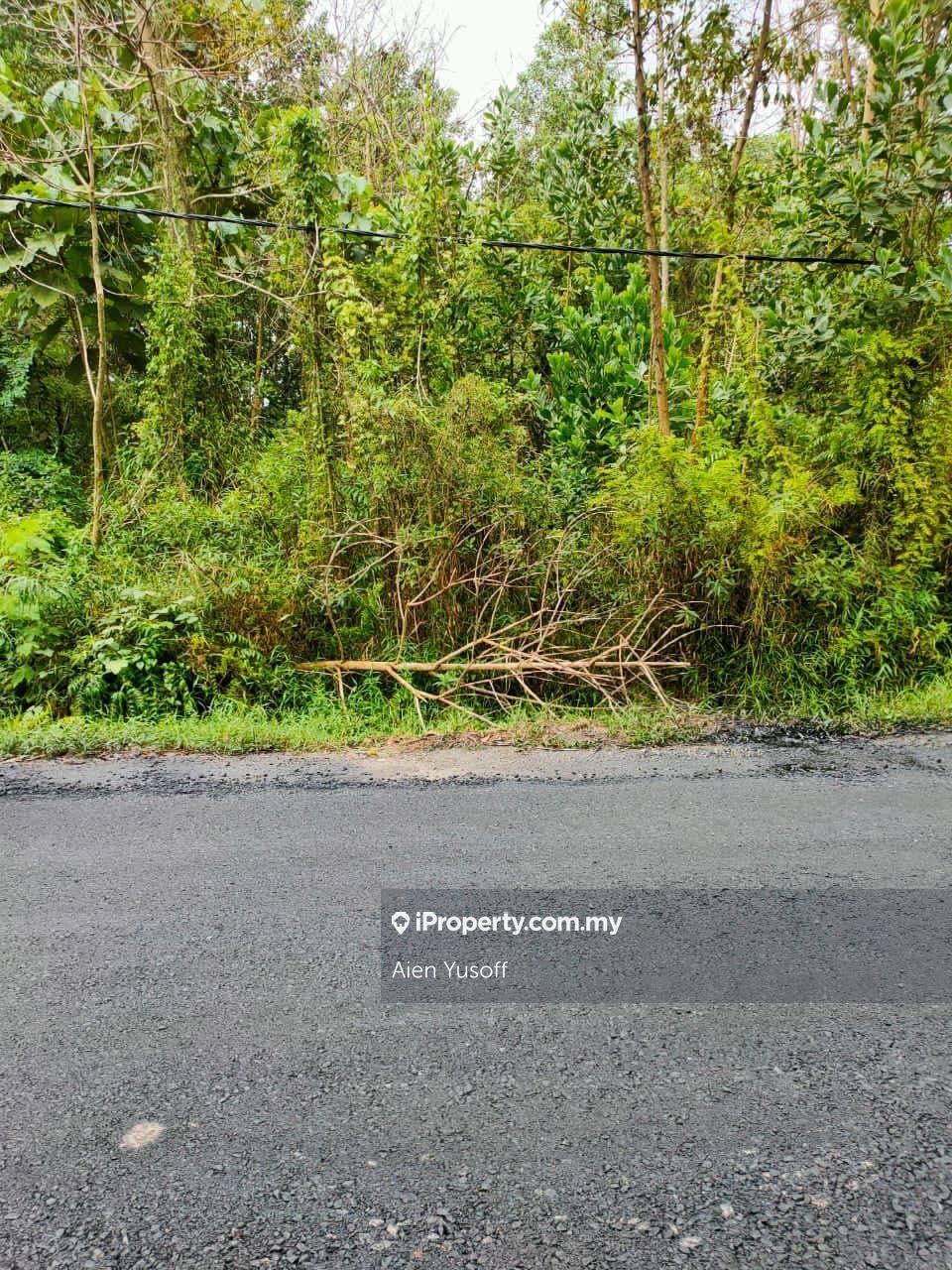 Sri Damai Kuantan Bungalow Land For Sale Iproperty Com My