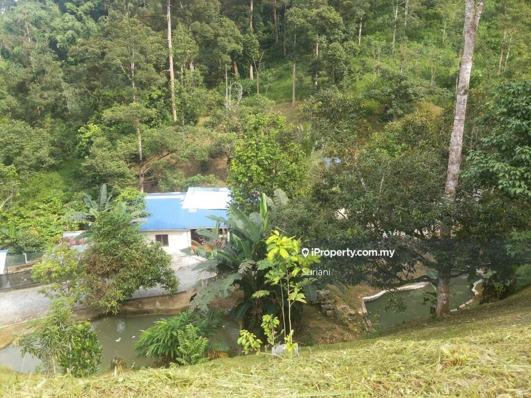 Hulu Langat
