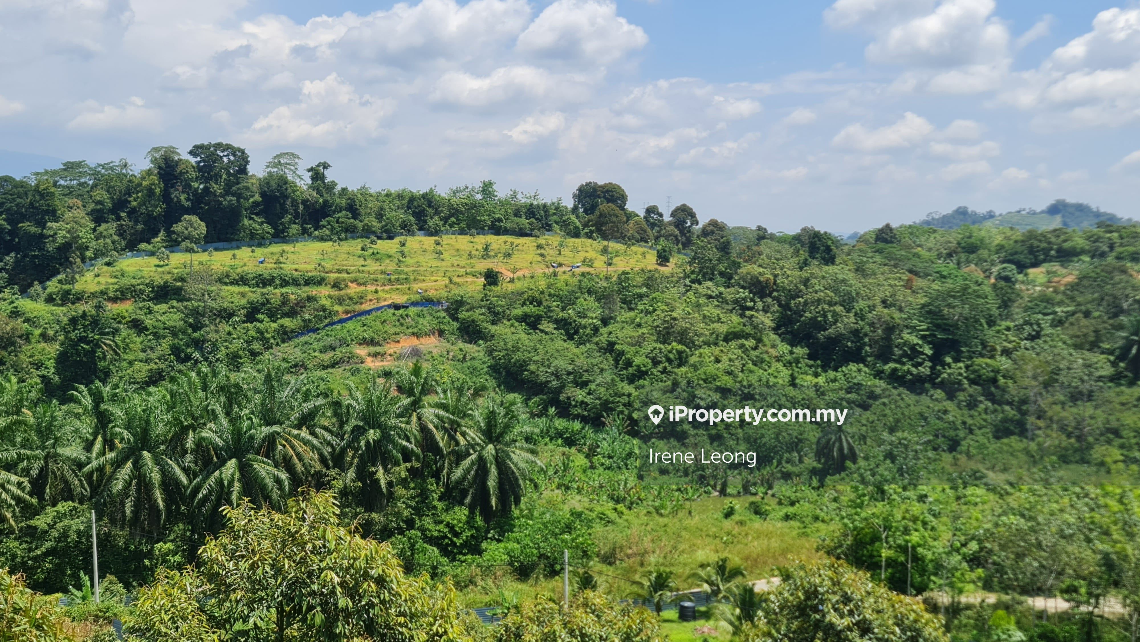 8.6 acres Raub Gali Durian Land For Sale, Raub for sale RM3020500