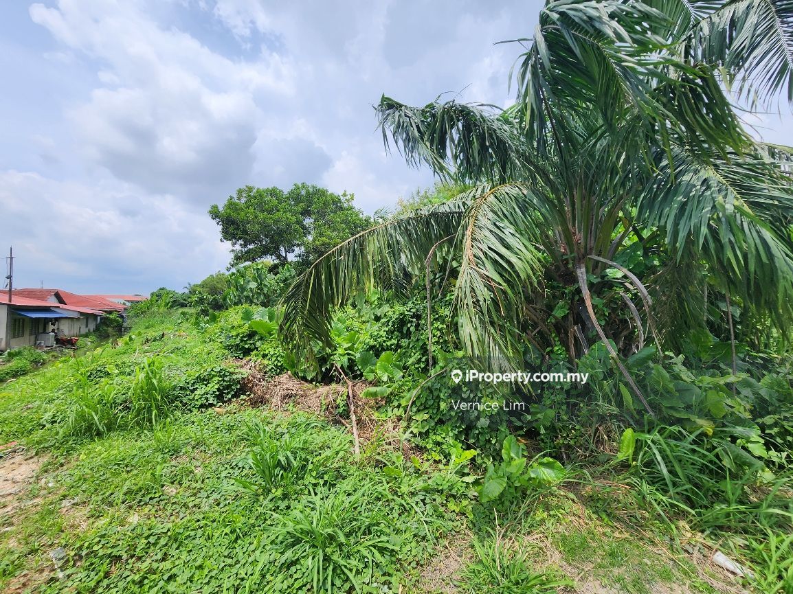 Agricultural Land (Industrial Zoning) Bukit Lanchong Putra Heights ...