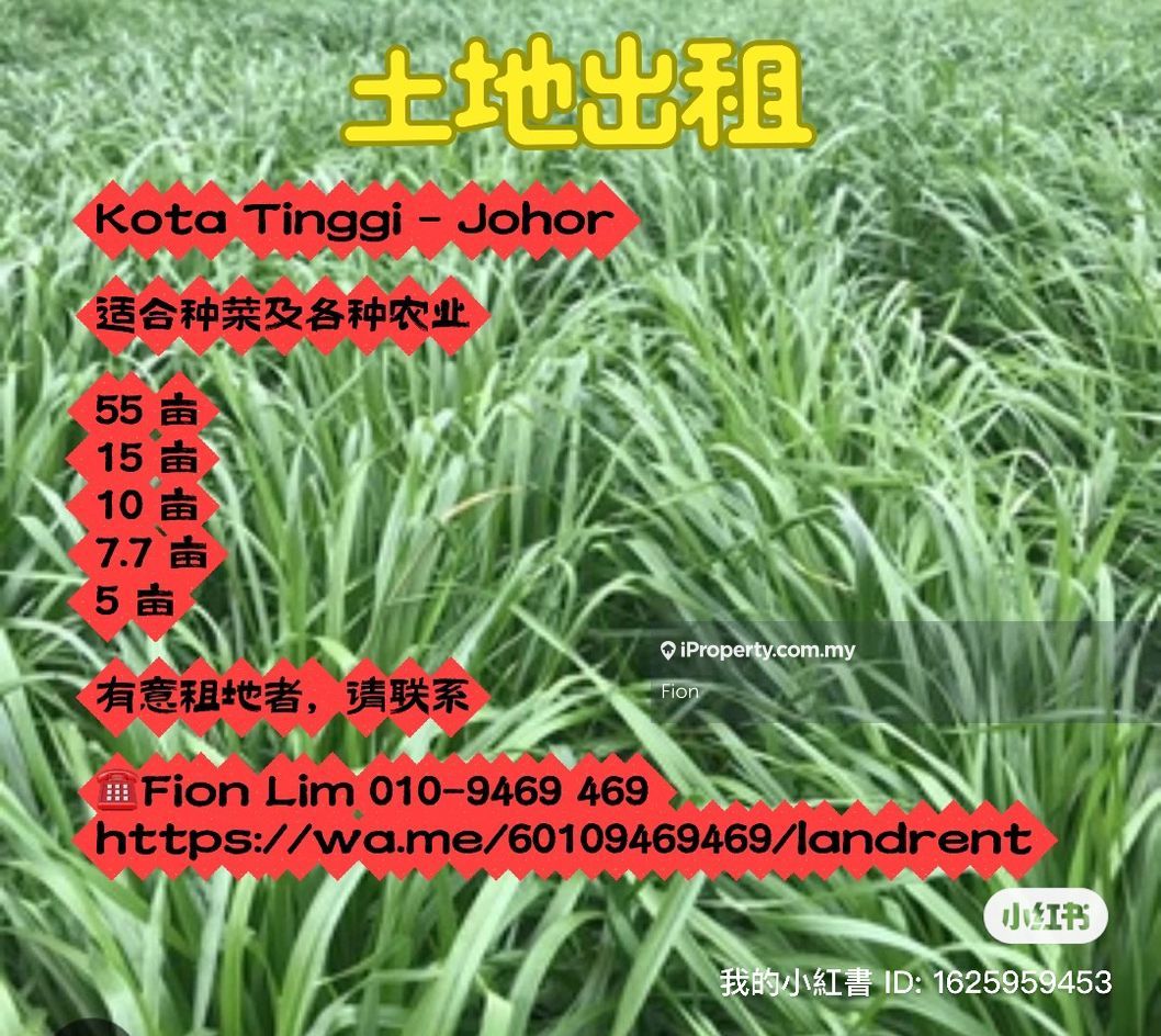 5 acres land for rent Kota Tinggi, Kota Tinggi for rent RM1250