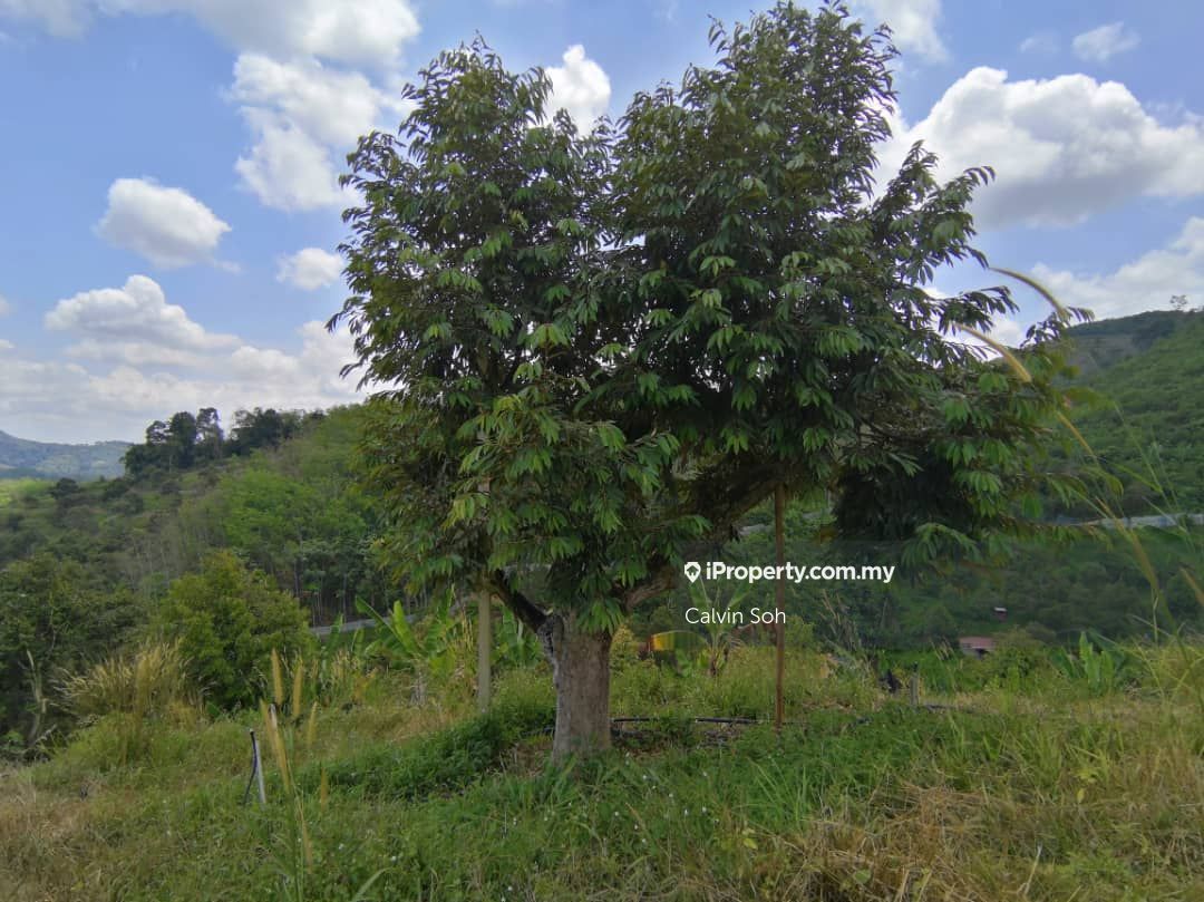 Sungai Koyan Sungai Koyan Agricultural Land For Sale Iproperty Com My