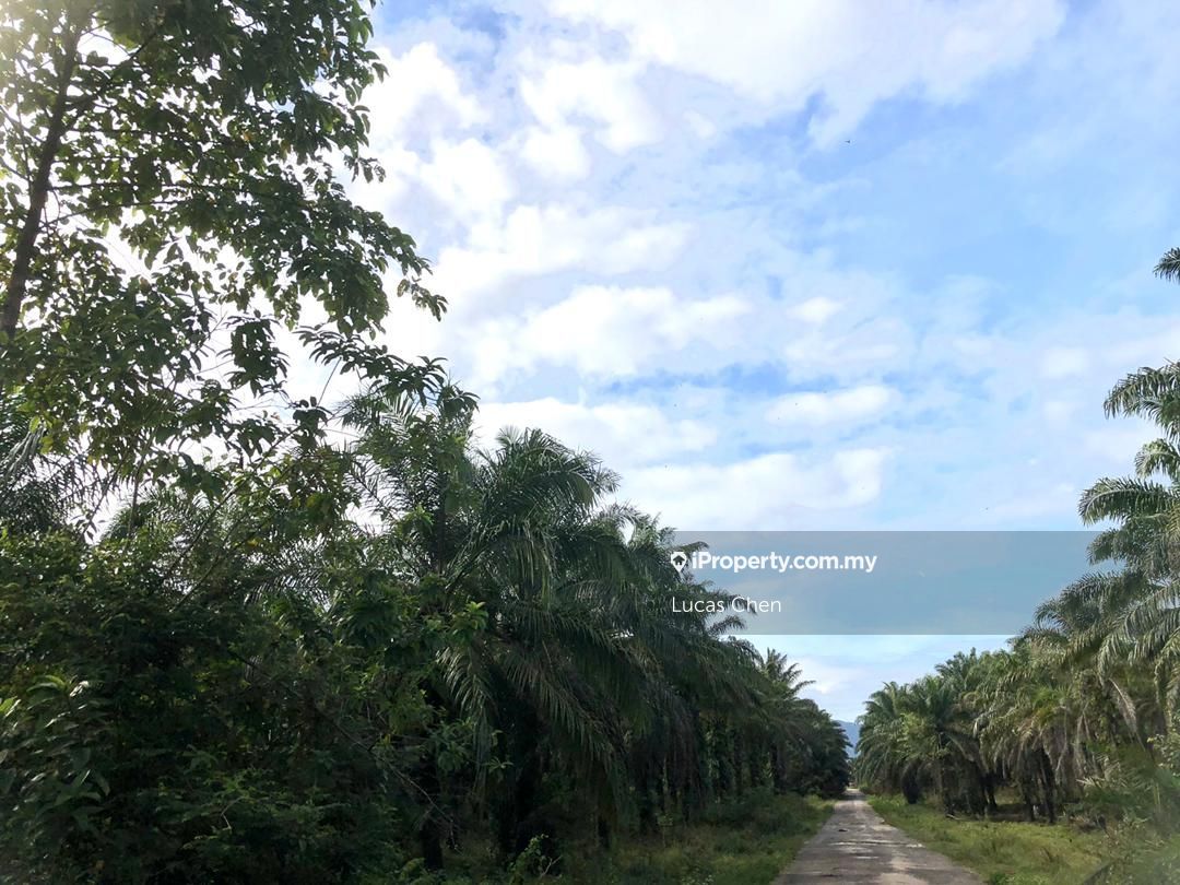 Ipoh Country Park Gopeng Kota Bharu Gopeng Residential Land For Sale Iproperty Com My