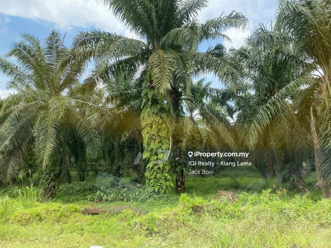 TELOK MENGKUANG, TELOK PANGLIMA GARANG, JENJAROM, Jenjarom