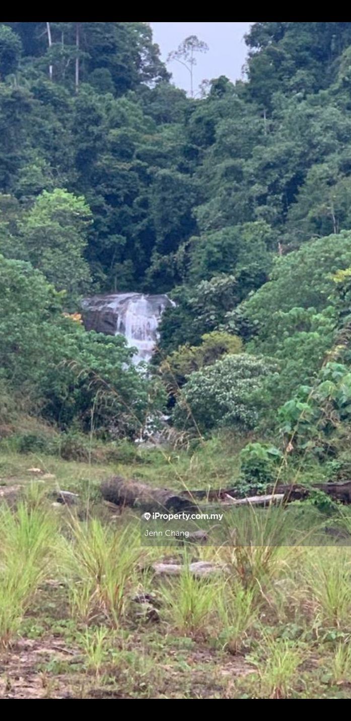 Gua Musang