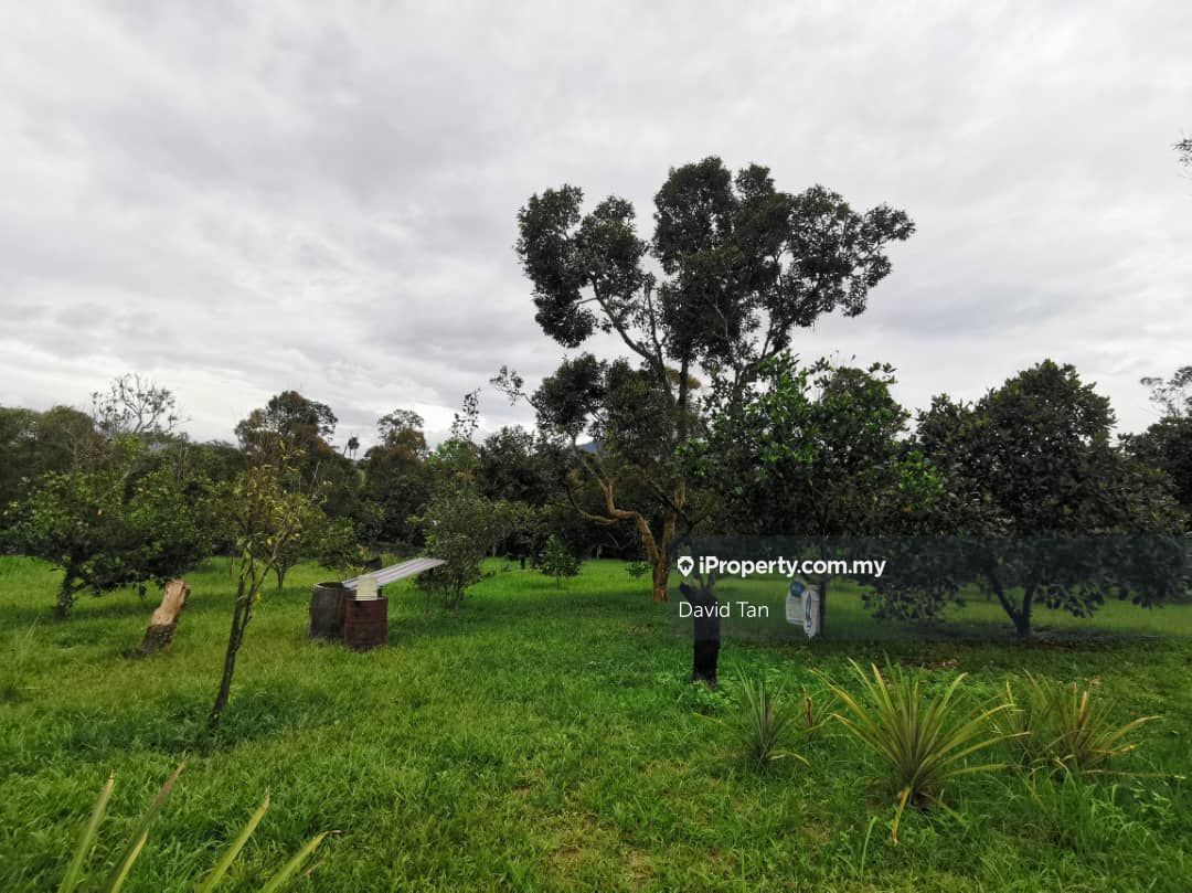 Mantin , Negeri Sembilan, Mantin , Negeri Sembilan, Mantin Agricultural