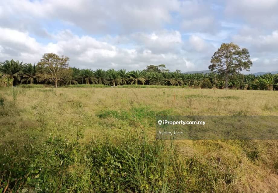 7 acres,Veg Farm,Lake,Kota Tinggi, Kota Tinggi