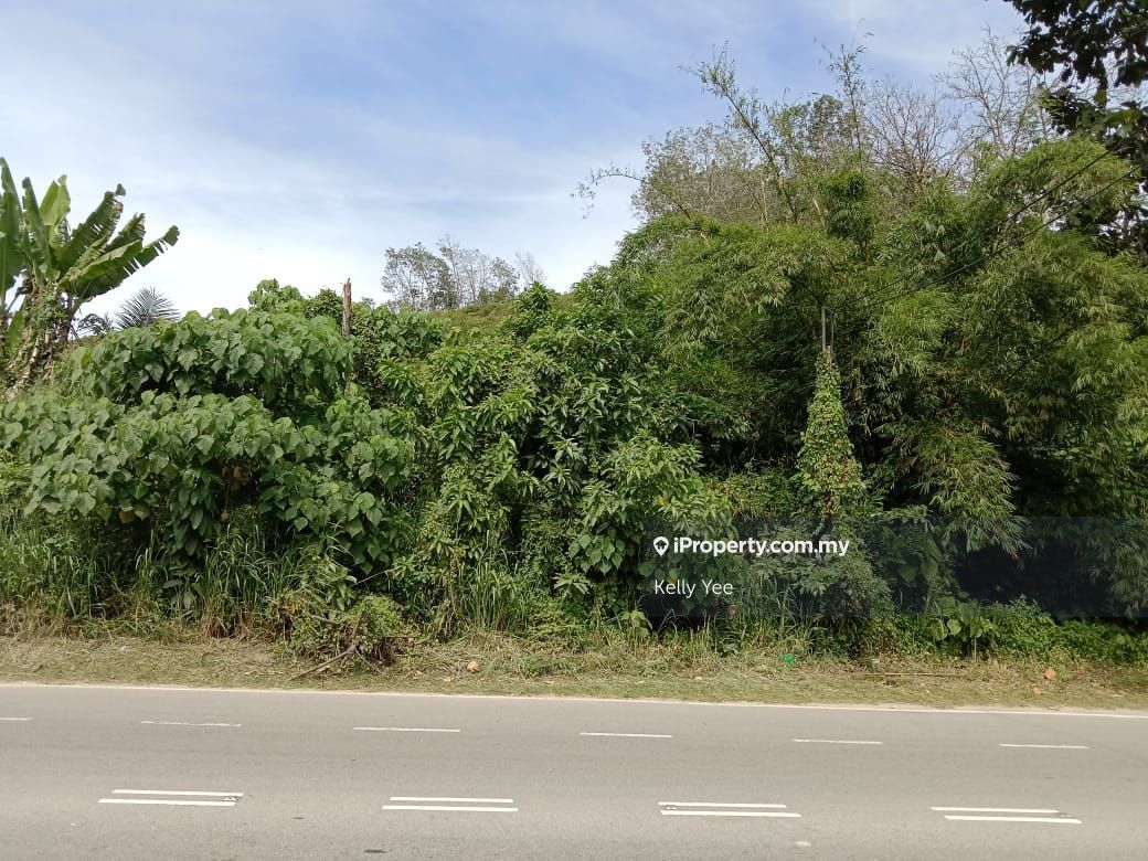 Agriculture Land Along Jalan Kulim, Bukit Mertajam for Sale, Bukit