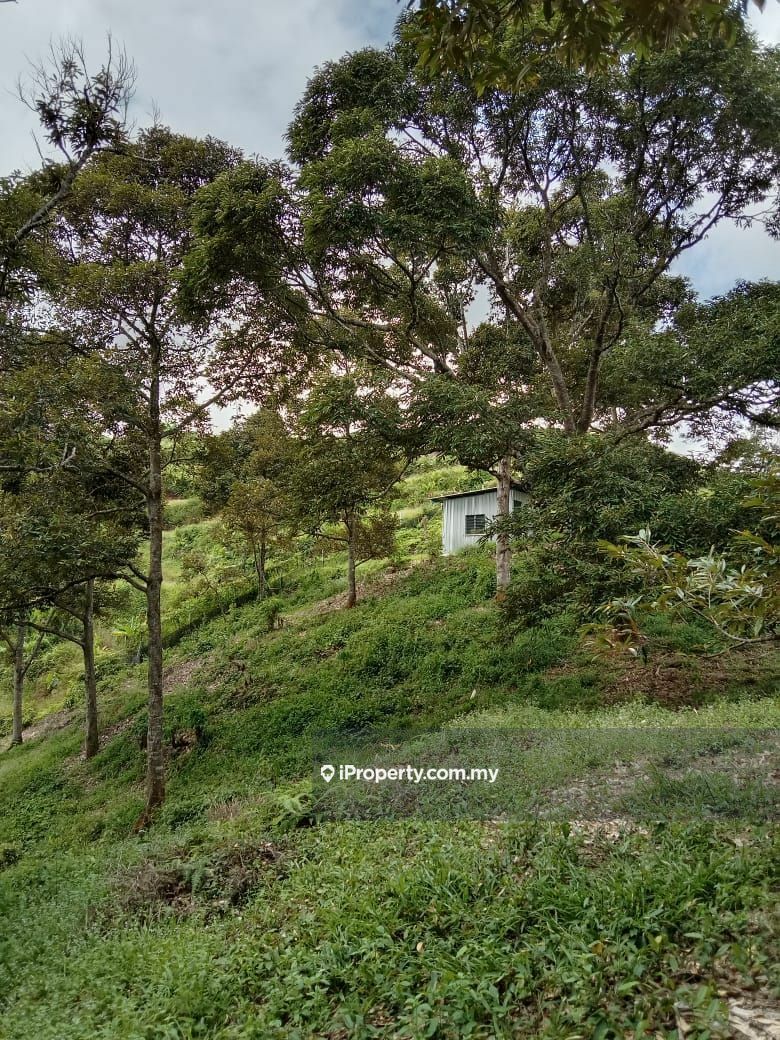 KARAK Agricultural Land For Sale, Cinta Manis, Karak for sale - RM2160000 | iProperty Malaysia