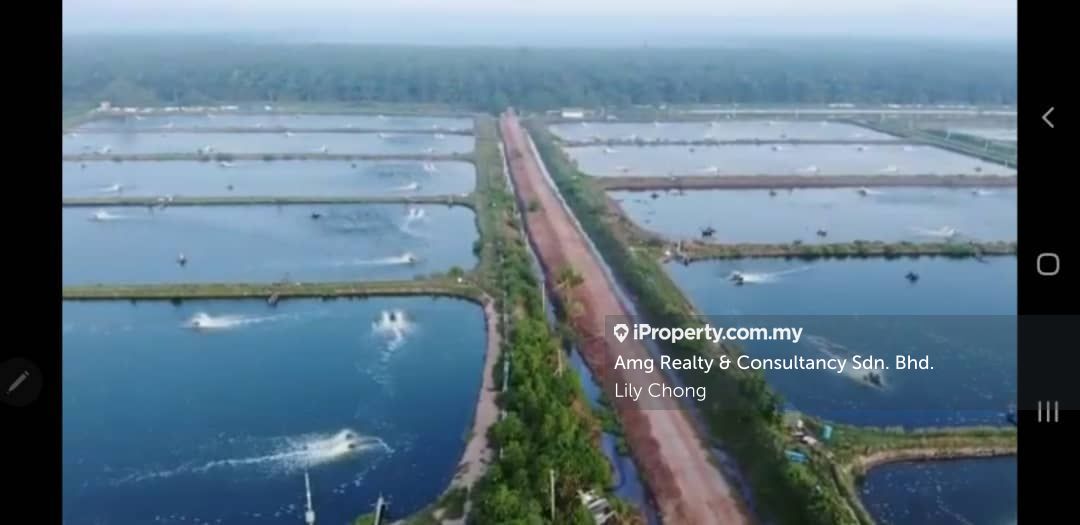 Klang Pulau Carey Fish Farm, Klang Pulau Carey Fish Farm, Klang