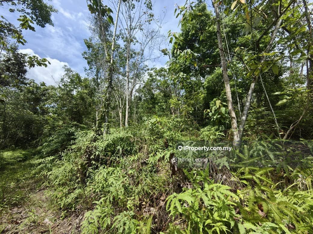 22 acres Bentong (Acasia Retreat) Rubber Land for Sale, Bentong for