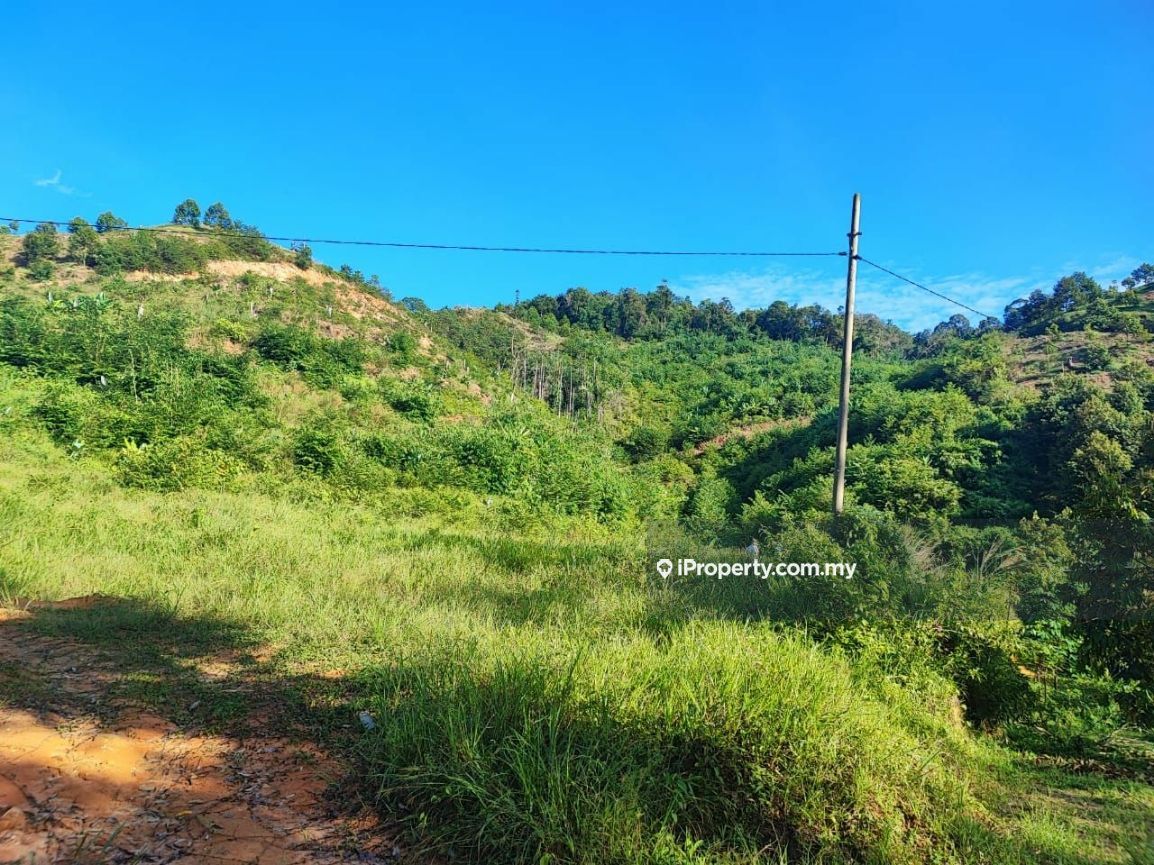 6.9 Acres Agricultural Land For Sale, Sg Luis, Jalan Cheroh,Raub Pahang