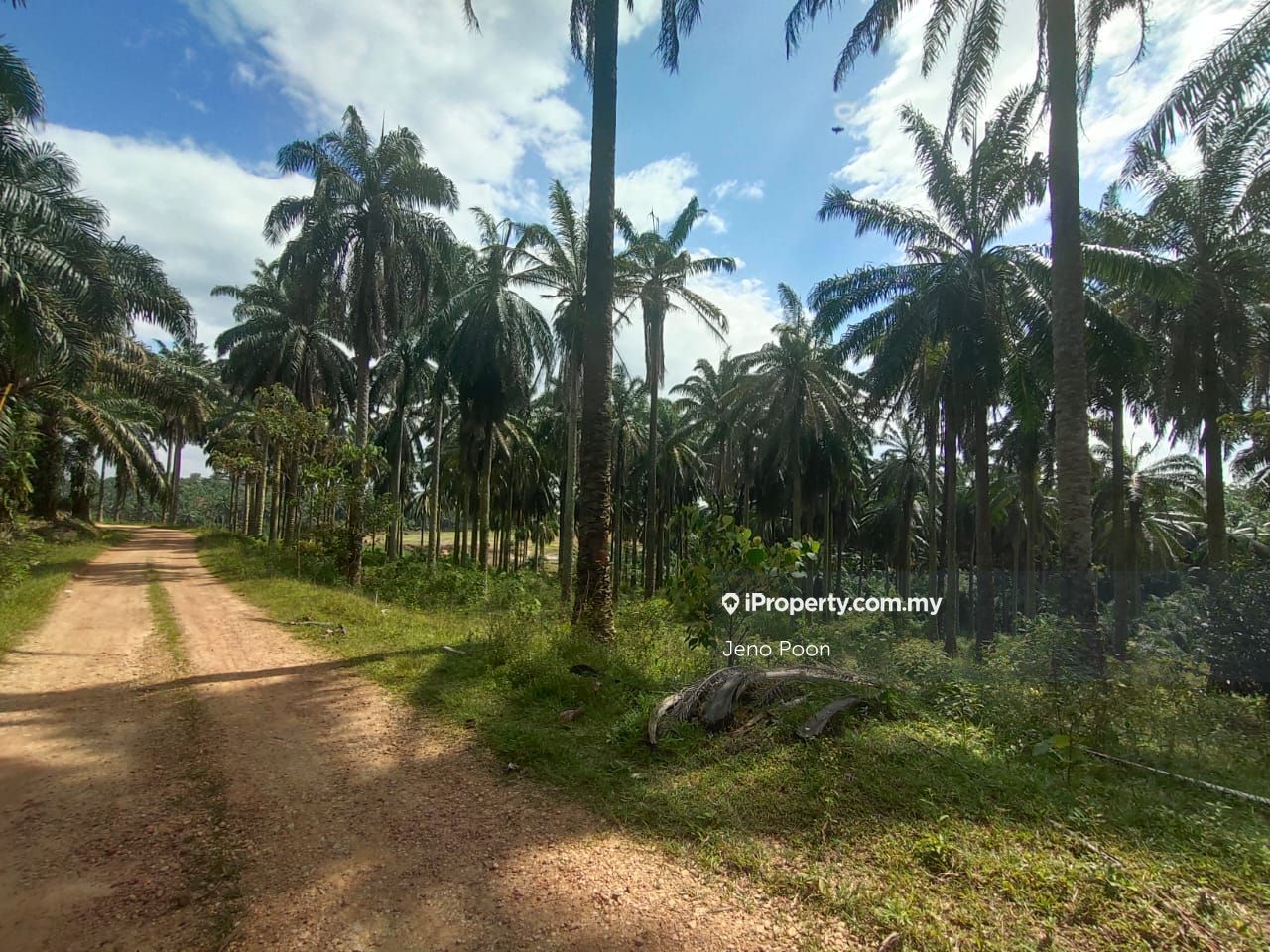 Batu Arang Agricultural Land for sale | iProperty.com.my