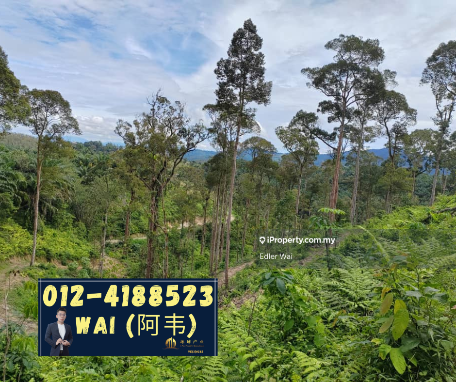 Durian Estate, Bukit Besar Kulim Kedah , Durian Estate , Bukit Besar