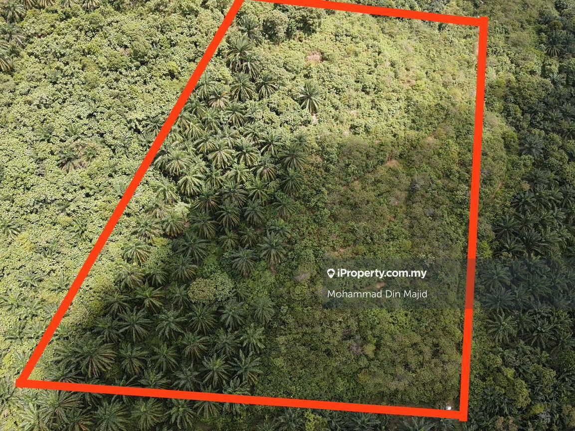 Bukit Kerayong, Bukit Kerayong Satu, Bandar Puncak Alam Agricultural