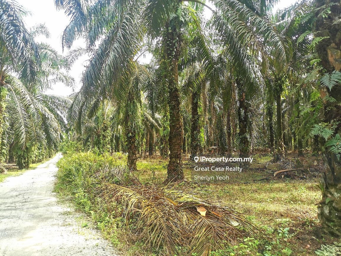 Slim River, Sungkai, Kuala Slim, Besout Land, Kuala Slim, Felda Gunung