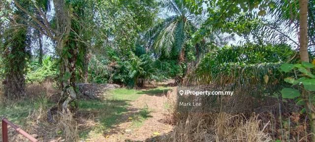 Banting, Morib, Kuala Langat for sale - RM2581300 | iProperty Malaysia