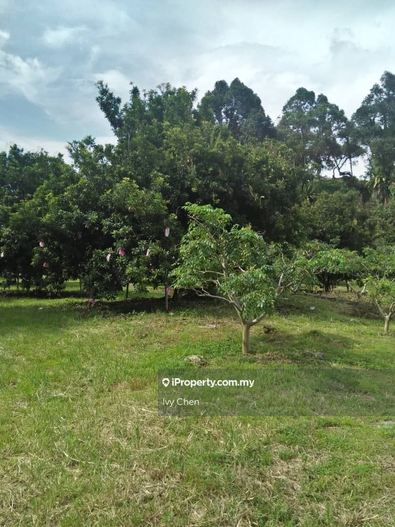 tapah land for sale