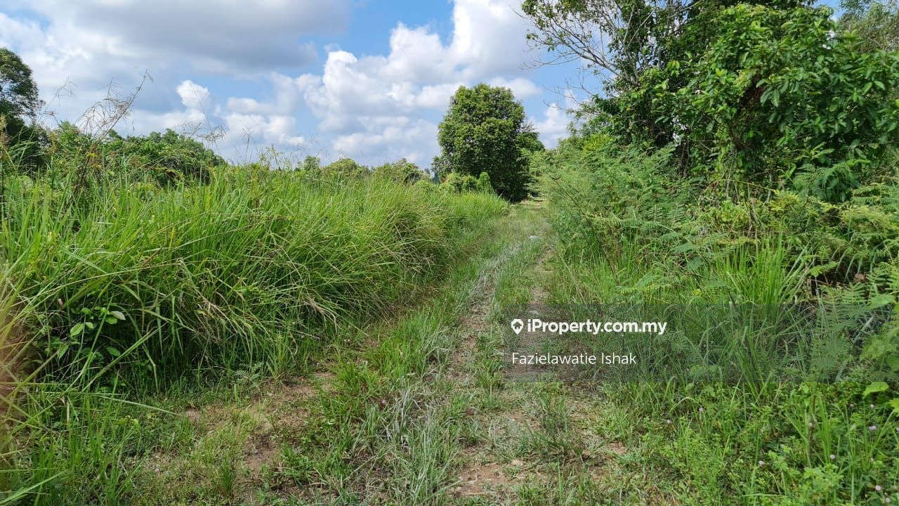 Tanah Pertanian Kampung Sri Damai Kuantan Kuantan Residential Land For Sale Iproperty Com My