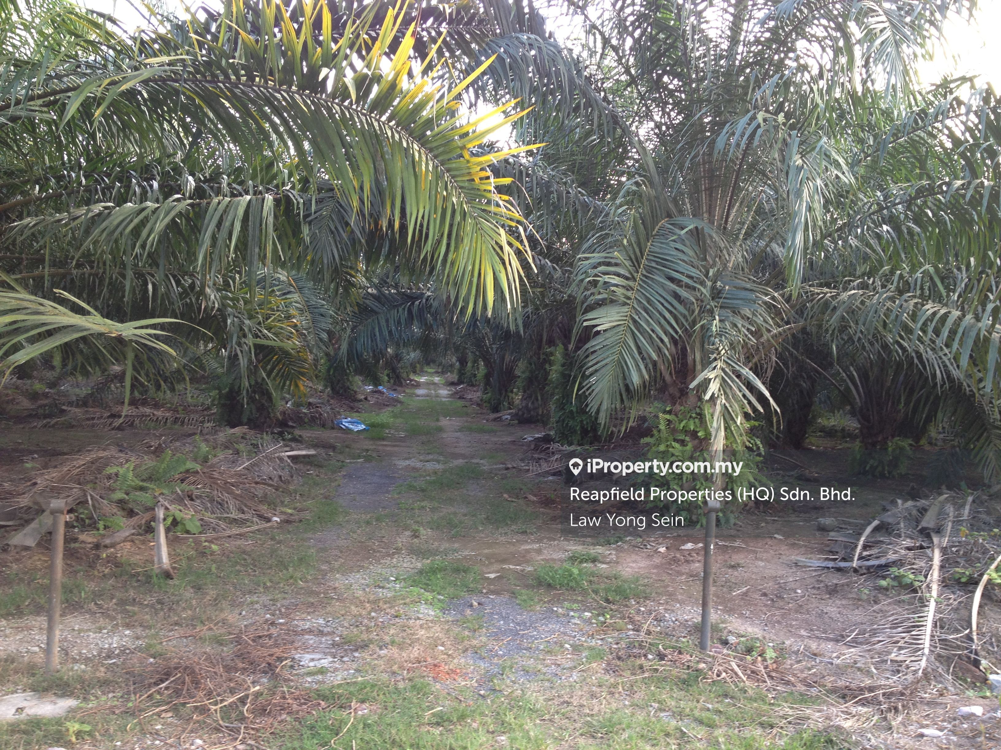 Seri Cheeding 10 Acres Industrial Zoned Land For Sale, Seri Cheeding