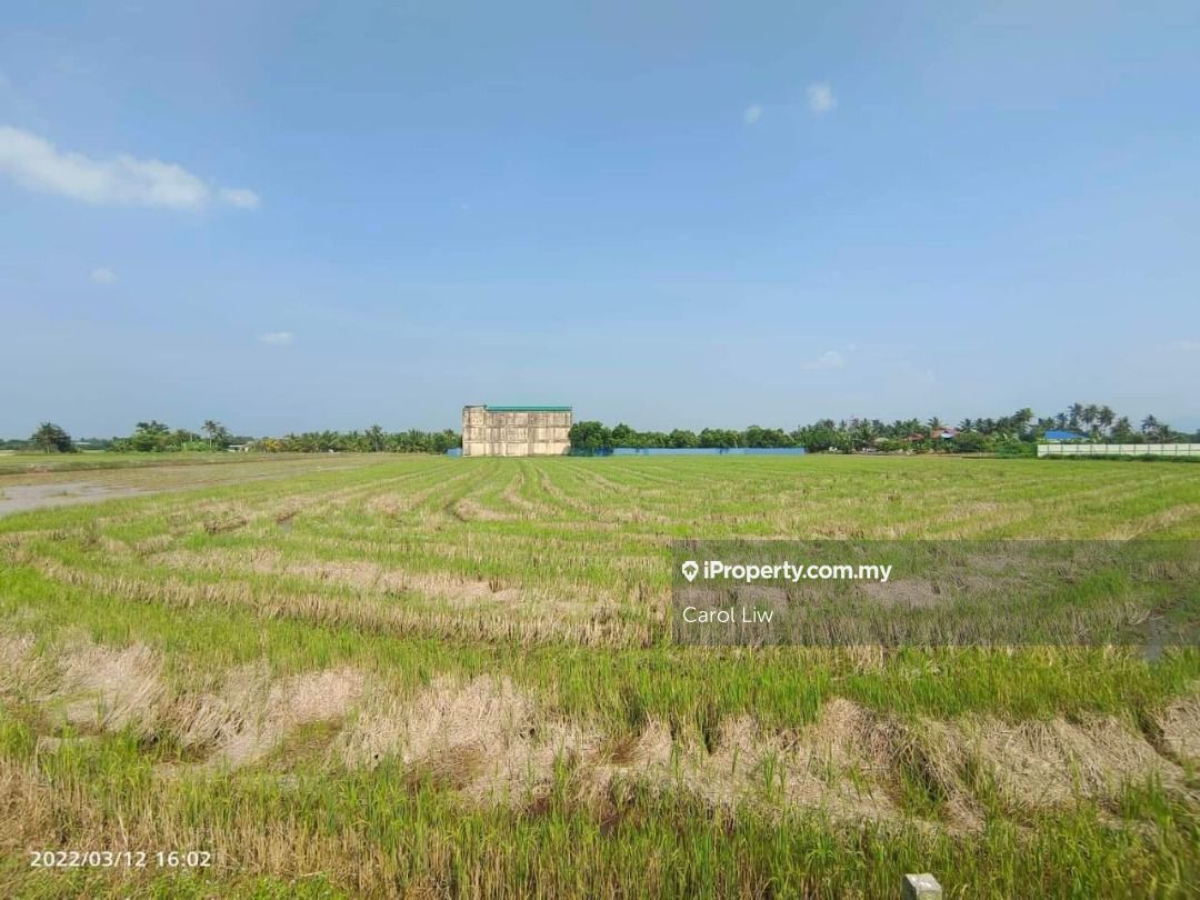 Agriculture Land For Sale Sungai petani , Sungai Petani Agricultural