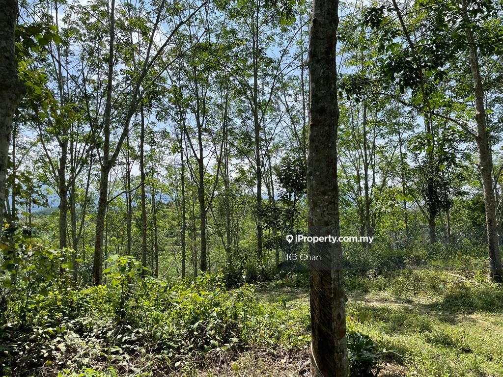 Near Titi, Jelebu for sale - RM2400000 | iProperty Malaysia