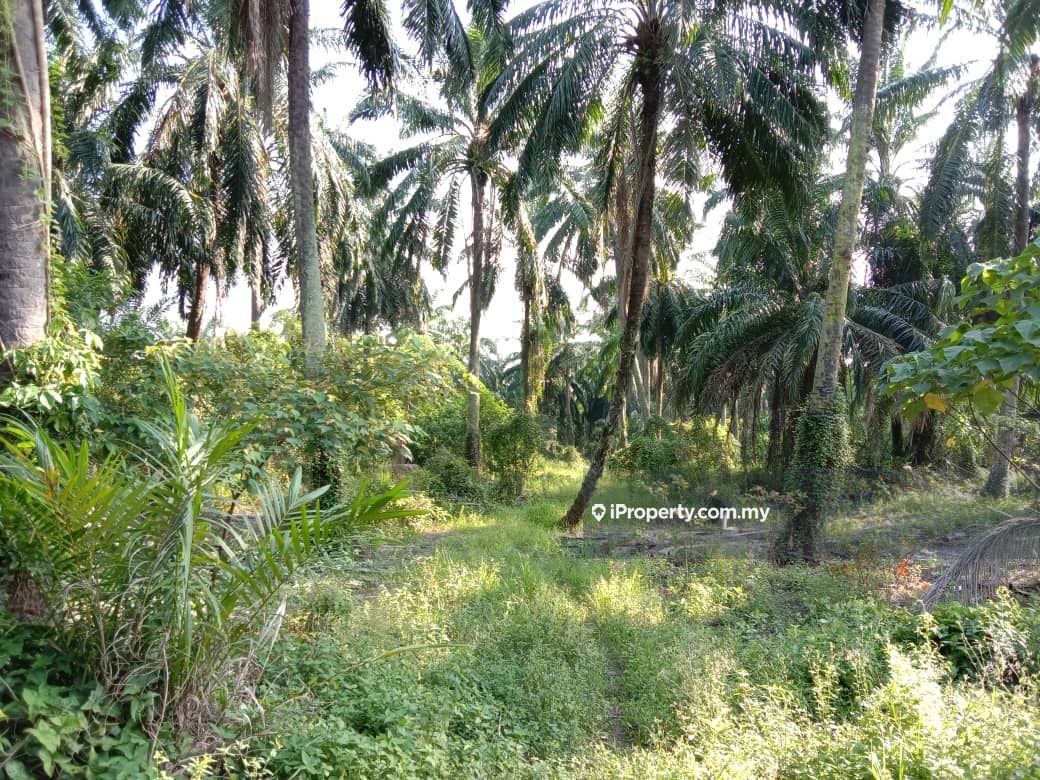 Dengkil , Dengkil 2.06 acres Agriculture Land , Dengkil