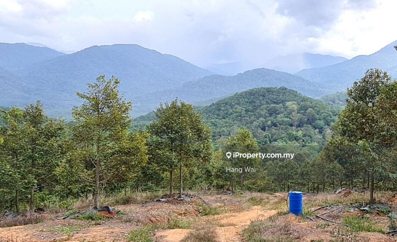 Perak, Slim River, Tanjung Malim, Tanjung Malim Agricultural Land for sale