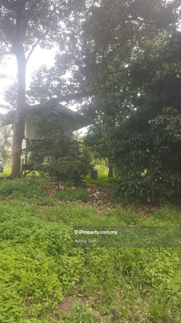 2 acres, Tar road to land, Durian,Ayer Hitam , Ayer Hitam