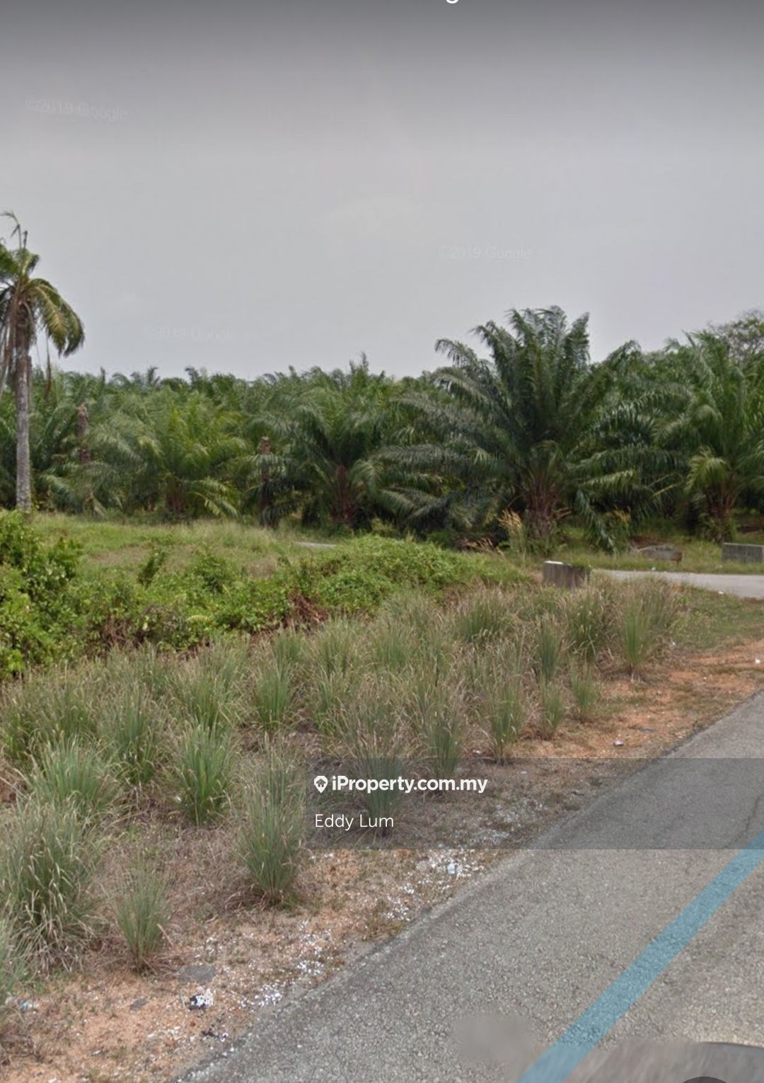 Kuala Selangor Freehold Land For Sale Kuala Selangor Agricultural Land For Sale Iproperty Com My