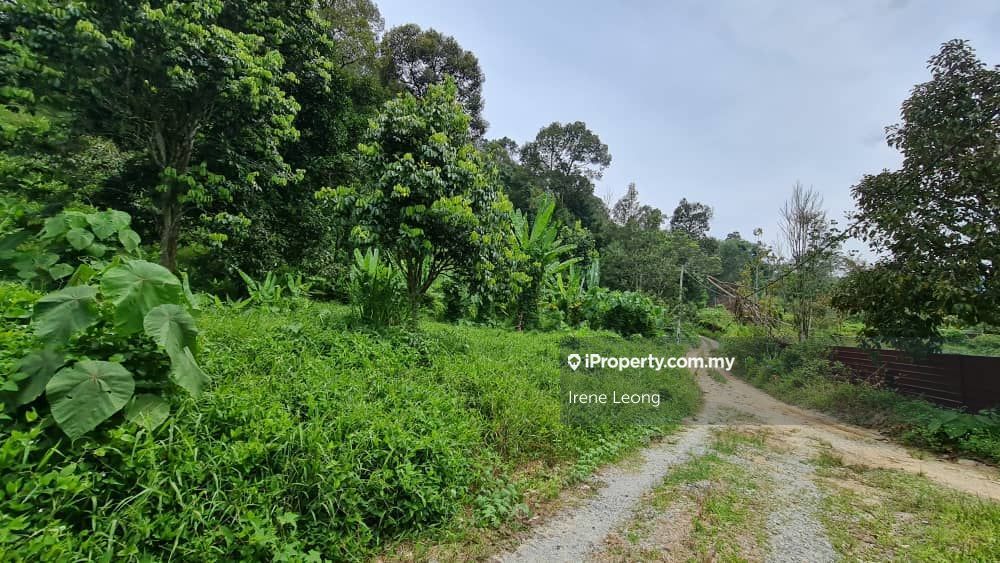 10 Acres Bentong Old Road Rubber Land For Sale, Bentong