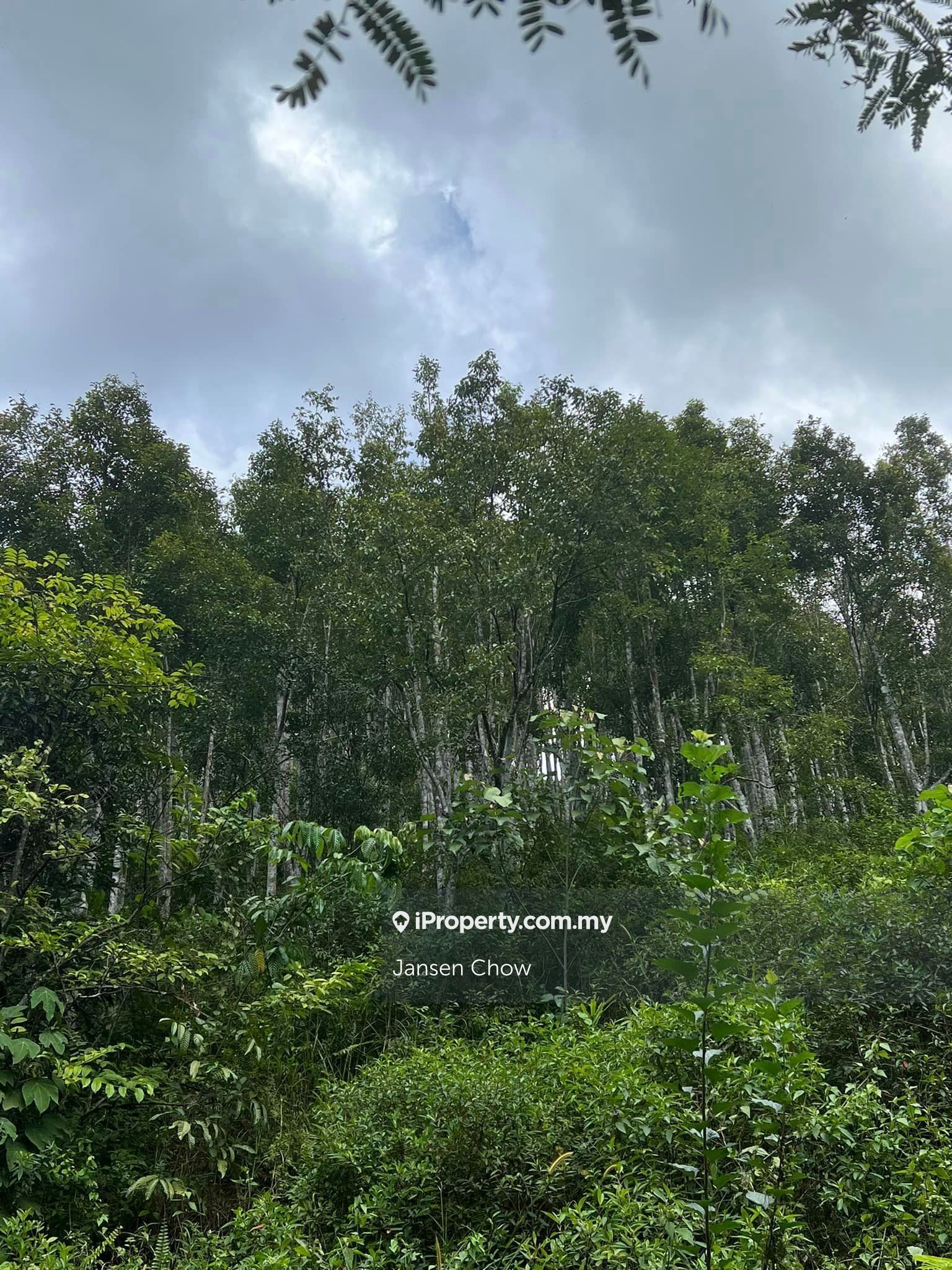 Bentong Raub, 10 acres Argawood near Bilut Hills, Bentong Agricultural