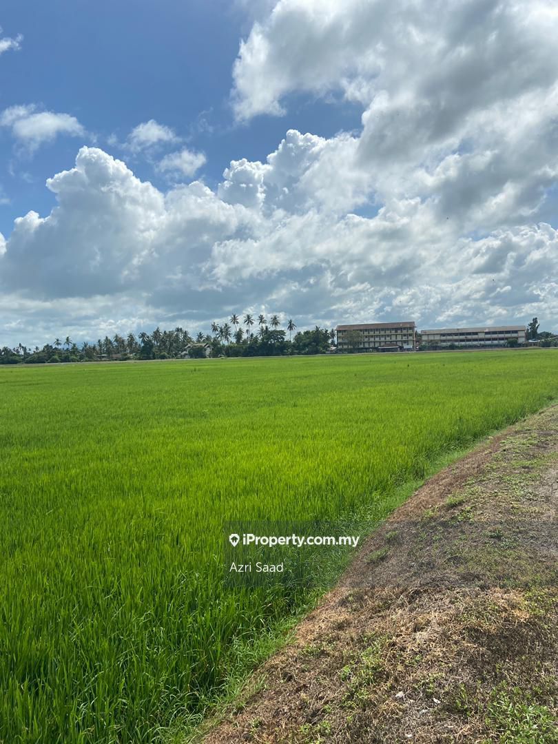 First Grade Land Sawah Padi Permatang Sintok Penaga Seberang Perai Utara Penaga Kepala Batas Agricultural Land Untuk Dijual Iproperty Com My