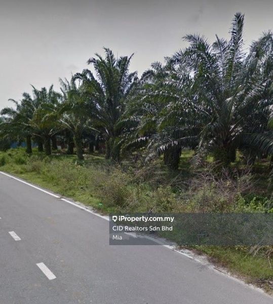 Industrial land for Sale Near Batu Kawan /Sungai Bakap/Valdor