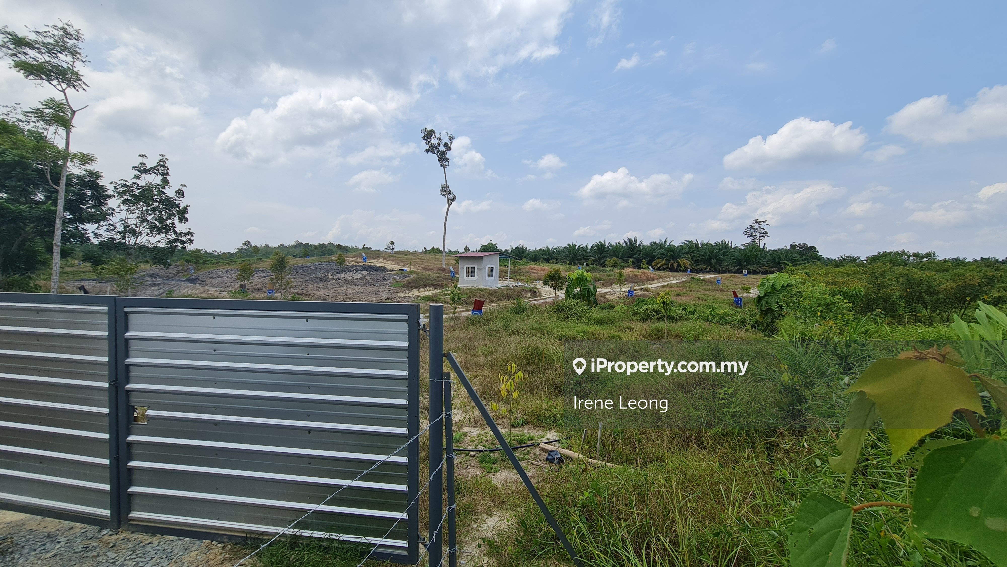 6 Acres Karak Chemomoi Facing Main Road Younger Durian Land For Sales Karak Agricultural Land Untuk Dijual Iproperty Com My